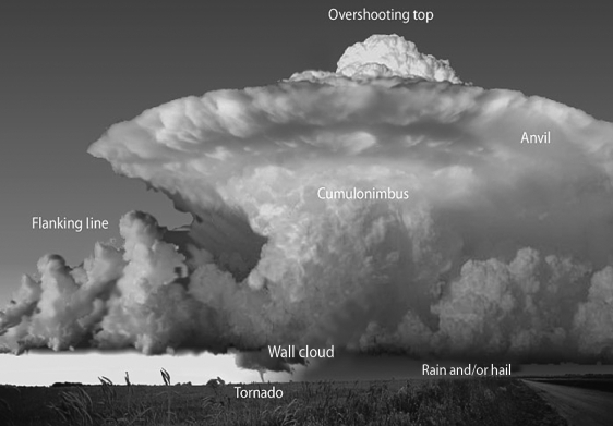The following image shows the rotating clouds of a(n)    A) tornado. B) supercell thunderstorm. C) ordinary thunderstorm. D) squall line thunderstorm.