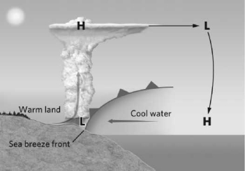 The circulation of air illustrated in the image below is known as a(n)    A) orographic lifting. B) sea breeze. C) water spout. D) mesocyclone.