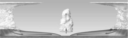 What is taking place in the image below?   