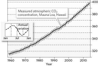 The graph below is the Keeling Curve, a record of carbon dioxide measured at Mauna Loa beginning in 1958. What can be learned from this graph? What do the two lines (black and grey) tell us?   