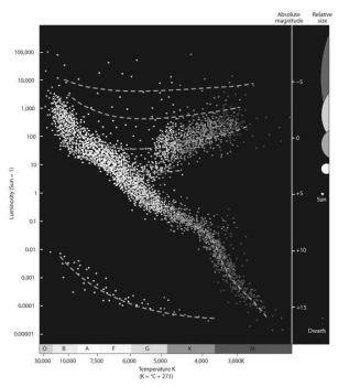 Which type of stars appear at the bottom of the Hertzsprung-Russell diagram shown below?   A) white dwarfs B) main sequence C) supergiants D) red giants