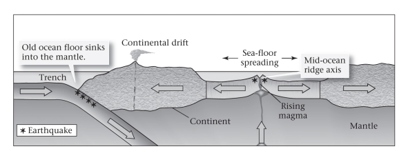 The term and concept of sea-floor spreading (see figure below) was developed by _____________.   A) Hess and Dietz B) Hess and Wegener C) Wegener and Dietz D) Wegener