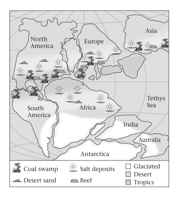 Consult the figure below.Abundant swamps led to the formation of coal during the Late Paleozoic in which of the following places?   A) India B) southern Africa C) North America D) South America