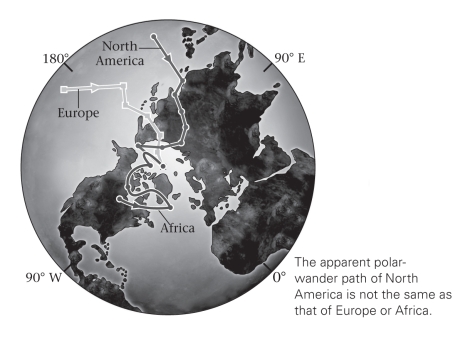 The discovery that each continent had different and separate polar wander paths proved that _____________.   A) Wegener was right: continents move B) the poles move C) both the poles and continents move