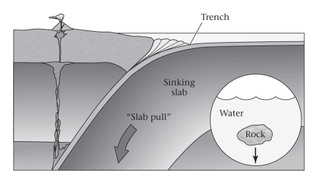Consult the figure below.Most of the pulling force driving plate motion is produced ____________.   A) at mid-ocean ridges B) at subduction zones C) at collision zones D) in the interiors of continental plates