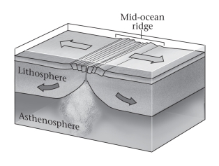 At a divergent plate boundary (shown below) ,two opposed plates ____________.   A) move toward one another B) move away from one another C) slide past one another