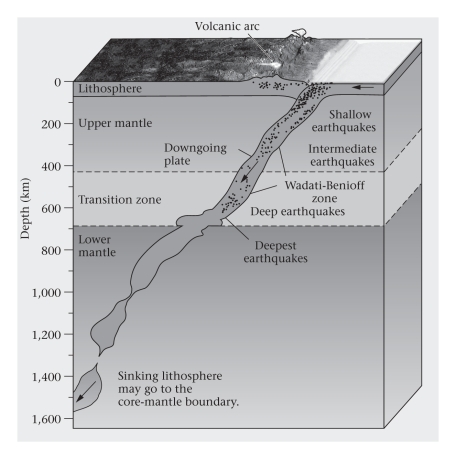 Consult the figure below.The Wadati-Benioff zone is a belt of earthquakes found ____________.   A) within an otherwise stable continental interior B) within an overriding plate at a subduction zone C) within a downgoing plate at a subduction zone D) along mid-ocean ridges