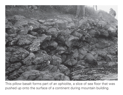 Pillow basalts,shown below,attain their distinctive blob-like shapes because their parent lavas do not travel far prior to solidification.This is because the parent lavas ____________.   A) are completely devoid of volatiles and thus travel slowly B) erupt underwater and thus cool very quickly C) are highly felsic and thus travel slowly D) are ultramafic and thus freeze at exceptionally high temperatures