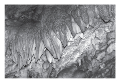 Physically precipitated (chemical) limestone that forms in caves is termed ____________.   A) agate B) dolostone C) jasper D) travertine