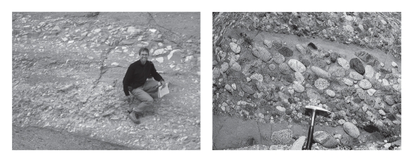 Consult the figure below.The difference between breccia and conglomerate is that conglomerate ____________.   A) is finer grained than breccia B) is coarser grained than breccia C) possesses more angular grains than breccia D) possesses more rounded grains than breccia