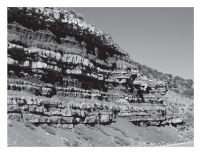 Geologists call individual layers of sedimentary rocks _____________ ,whereas several of them together are called ____________.   A) beds;strata B) strata;beds