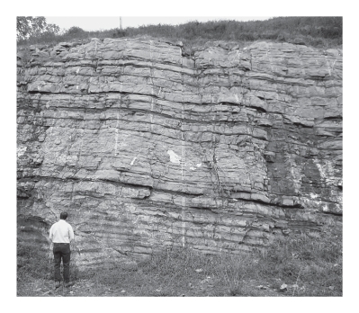 Consult the figure below.Limestone is most likely formed in which of the following environments? A) shallow-marine clastic B) shallow-marine carbonate C) marine delta D) deep marine