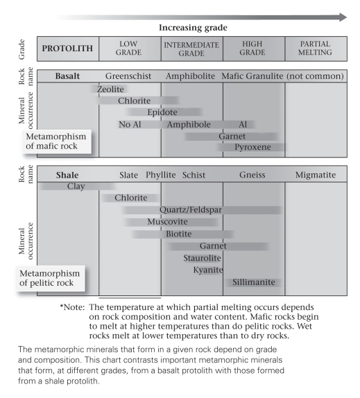 Consult the figure below.A mineral within a metamorphic rock that can be used to provide a narrow constraint on the temperature and pressure of formation of the rock is termed a(n) ____________.   A) thermineral B) index mineral C) mafic mineral D) halide mineral
