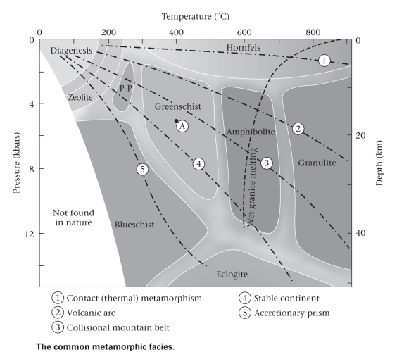 Consult the figure below.As compared to the amphibolite metamorphic facies,the greenschist facies ____________.   A) consist of lower-grade rocks B) consist of higher-grade rocks C) is an identical temperature and pressure regime;greenschists and amphibolites bear different mineral assemblages only because of differences in protolith chemistry
