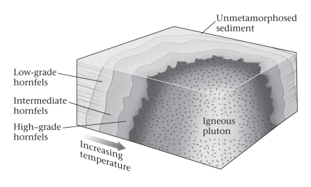 Consult the figure below.The region of thermally metamorphosed rock surrounding a cooled pluton is called a(n) ____________.   A) shear zone B) aureole C) oriole D) oleo