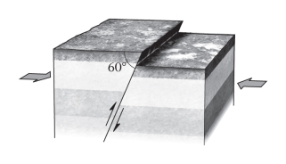 If,during an earthquake,a hanging wall slides upward relative to a footwall,the fault is termed ____________ if the fault is steep (closer to vertical than horizontal) .   A) normal B) reverse C) strike slip D) thrust