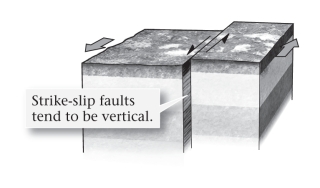 If a fault is nearly vertical in orientation and the two walls of rock on opposite sides slide past one another horizontally,the fault is termed ____________.   A) normal B) reverse C) strike slip D) thrust