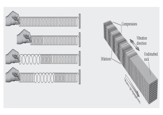 A coiled spring would be useful in illustrating a ____________ wave.   A) surface B) body C) shear D) compressional