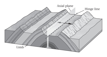 A fold shaped like an elongate arch is a(n) ____________.   A) anticline B) basin C) dome D) syncline