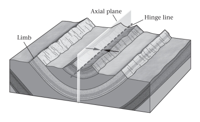 A fold shaped like an elongate trough is a(n) ____________.   A) anticline B) basin C) dome D) syncline
