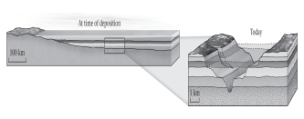 If the lithology and fossil content of two bodies of rock on opposite sides of a canyon are identical,then these remaining outcrops were likely physically connected at one time and formed part of an extensive,sheet-like layer of rock.This idea summarizes the principle of ____________.   A) superposition B) original continuity C) original horizontality D) uniformitarianism