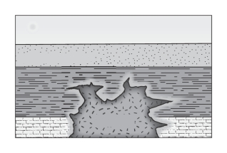The marble rind surrounding the granite pluton must be younger than the limestone according to the principle of ____________.   A) superposition B) baked contacts C) original horizontality D) original continuity