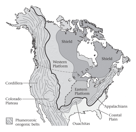 Through geologic time,continents have drifted over the surface of Earth,but each continent has always been about as large as it is today.   