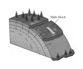 ____________ may form parallel to slope surfaces in granite and become a failure surface.   A) Bedding planes B) Exfoliation joints C) Foliation planes
