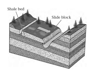 ____________ in sedimentary rock may become a failure surface.   A) Bedding planes B) Exfoliation joints C) Foliation planes