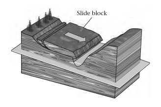 ____________ in metamorphic rock may become a failure surface.   A) Bedding planes B) Exfoliation joints C) Foliation planes