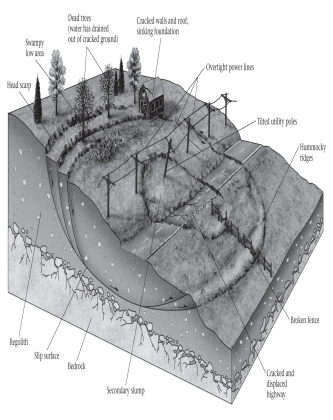 ____________ are surface features indicative of a developing slump.   A) Dead trees B) Sinking foundations C) Tilted utility poles D) All of the above are correct.