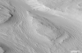 The following is a picture of a landform on Mars.What feature in this picture indicates that Mars may have had running water some time in the past?   A)  deeply cut channels formed by a flowing river B)  large sandbars likely formed by a sediment-choked river C)  depressions formed during collapse of sinkholes D)  a large flat expanse of land, likely a river floodplain