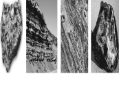 Which of the rocks pictured below is most likely to contain fossils? Figure 1 Figure 2 Figure 3 Figure 4   A)  Figure 1 B)  Figure 2 C)  Figure 3 D)  Figure 4