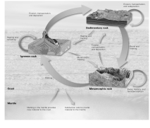 What is the name of the cycle shown in the picture?   A)  hydrologic cycle B)  erosion cycle C)  rock cycle D)  carbon cycle