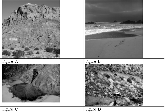 Which of the following is NOT sediment?   A)  Figure A B)  Figure B C)  Figure C D)  Figure D