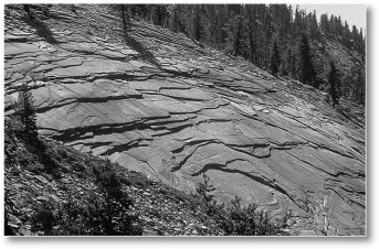 The following is a picture of what type of phenomenon?   A)  jointing B)  differential weathering C)  chemical weathering D)  hydration