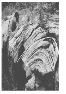What do geologists call the layering seen in this picture?   A)  tilted bedding B)  metamorphic foliation C)  sedimentary layers D)  cleavage planes