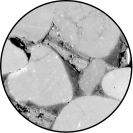 What is the material surrounding the grains in the photo?   A)  cement B)  air C)  molten rock D)  water