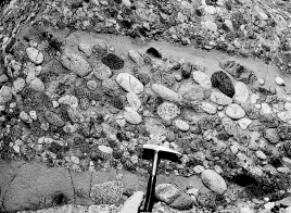 What type of rock is shown in the picture?   A)  sedimentary B)  igneous C)  metamorphic D)  crystalline