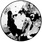 What type of rock is shown in the photomicrograph?   A)  igneous B)  crystalline C)  sedimentary D)  metamorphic