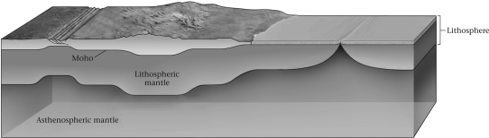 On average,continental crust is approximately ____________ as oceanic crust.   A)  equally thick B)  half as thick C)  five times as thick D)  20 times as thick