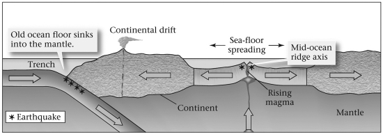 The term and concept of sea-floor spreading (see figure below) was developed by _____________.   A)  Hess and Dietz B)  Hess and Wegener C)  Wegener and Dietz D)  Wegener