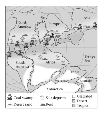 Consult the figure below.Abundant swamps led to the formation of coal during the Late Paleozoic in which of the following places?   A)  India B)  southern Africa C)  North America D)  South America