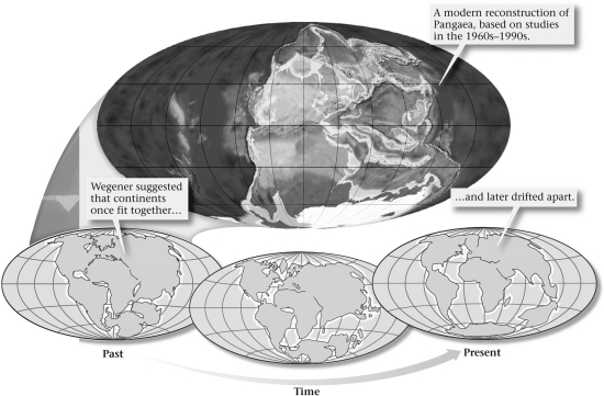 Wegener proposed continental drift after he observed evidence from fossils,glacial deposits,and the fit of the continents that suggested all of the continents were once ____________.   A)  aligned north to south along the prime meridian during the Late Cenozoic B)  aligned east to west along the equator during the Late Mesozoic through the Cenozoic C)  combined to form a supercontinent (he termed Rodinia)  in the Proterozoic D)  combined to form a supercontinent (he termed Pangaea)  in the Late Paleozoic through the Mesozoic