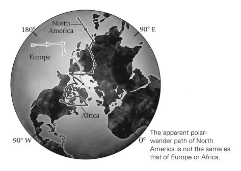 Why does each continent below have a different polar wander path?   A)  Wegener was right: continents move. B)  The poles move. C)  Both the poles and continents move.