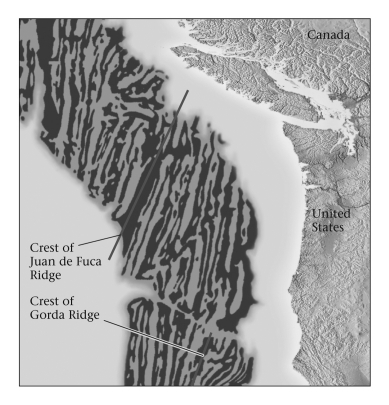 According to the figure below,fracture zones lay roughly ___________ to mid-ocean ridges.   A)  perpendicular B)  parallel C)  adjacent D)  at an obtuse angle