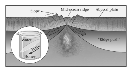 Consult the figure below.Most of the pushing force driving plate motion is produced ____________.   A)  at mid-ocean ridges B)  at subduction zones C)  at collision zones D)  in the interiors of continental plates