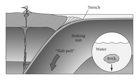 Consult the figure below.Most of the pulling force driving plate motion is produced ____________.   A)  at mid-ocean ridges B)  at subduction zones C)  at collision zones D)  in the interiors of continental plates