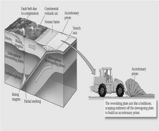 Consult the figure below.Subduction zones are ____________.   A)  convergent-plate boundaries B)  divergent-plate boundaries C)  transform-plate boundaries
