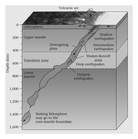 Consult the figure below.The Wadati-Benioff zone is a belt of earthquakes found ____________.   A)  within an otherwise stable continental interior B)  within an overriding plate at a subduction zone C)  within a downgoing plate at a subduction zone D)  along mid-ocean ridges